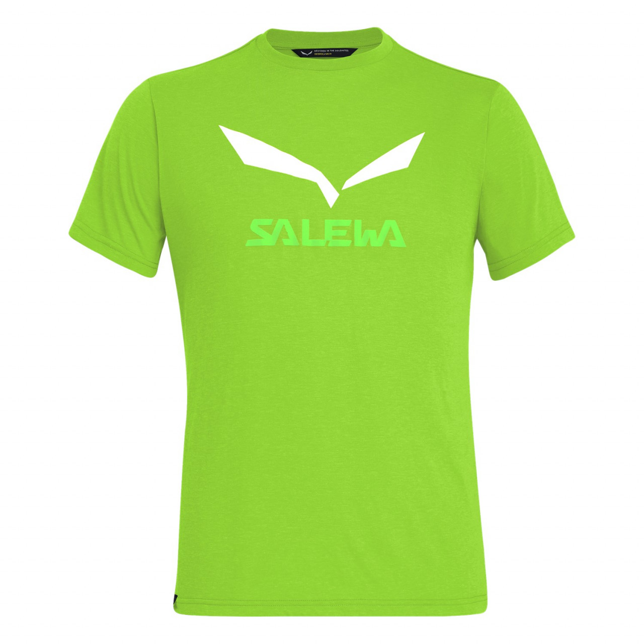 Salewa Solidlogo Drirelease® Erkek T-Shirts Yeşil Türkiye 157364NEH